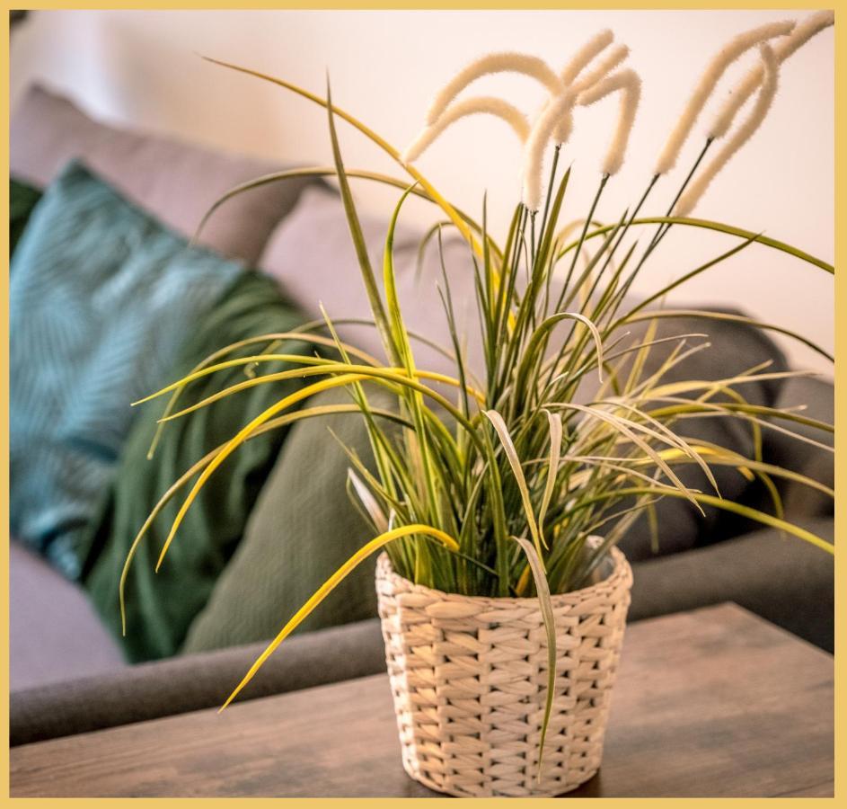 Appartement T3 I Cozy I Douvaine Zewnętrze zdjęcie
